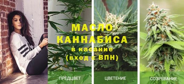 прущие крисы Инта