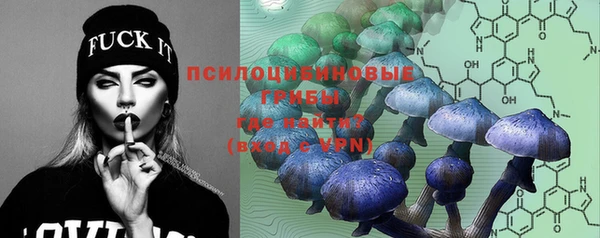 мяу мяу мука Инсар